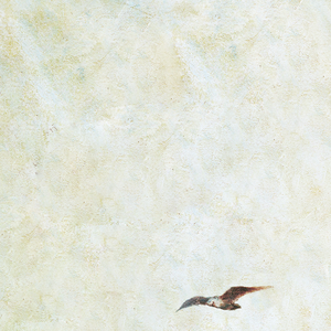 猎奇小屋破解下载安装最新版教程
