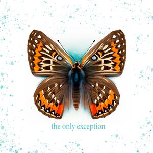 猎奇小屋破解下载安装最新版教程
